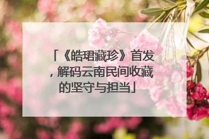 《皓珺藏珍》首发，解码云南民间收藏的坚守与担当