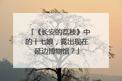 《长安的荔枝》中的十七娘，竟出现在延边博物馆？