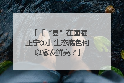 「“县”在图强·正宁③」生态底色何以愈发鲜亮？