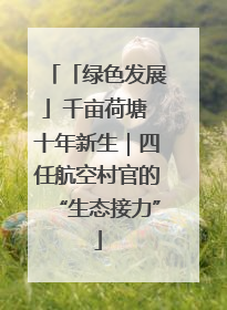 「绿色发展」千亩荷塘 十年新生｜四任航空村官的“生态接力”