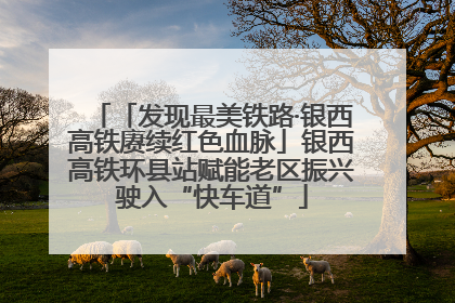 「发现最美铁路·银西高铁赓续红色血脉」银西高铁环县站赋能老区振兴驶入“快车道”