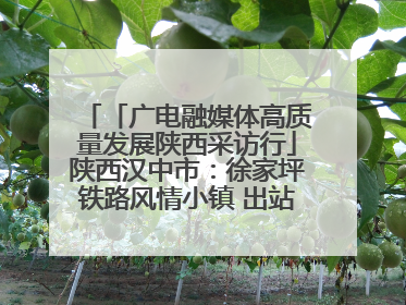 「广电融媒体高质量发展陕西采访行」陕西汉中市：徐家坪铁路风情小镇 出站就是景区