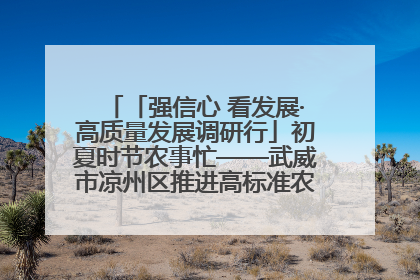「强信心 看发展·高质量发展调研行」初夏时节农事忙——武威市凉州区推进高标准农田建设见闻