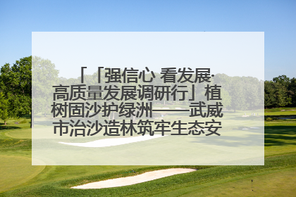 「强信心 看发展·高质量发展调研行」植树固沙护绿洲——武威市治沙造林筑牢生态安全屏障见闻