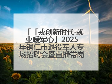 「戎创新时代·就业暖军心」2025年铜仁市退役军人专场招聘会暨直播带岗活动顺利举行