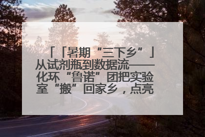 「暑期“三下乡”」从试剂瓶到数据流——化环“鲁诺”团把实验室“搬”回家乡，点亮桑梓求知路