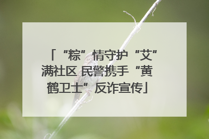 “粽”情守护“艾”满社区 民警携手“黄鹤卫士”反诈宣传
