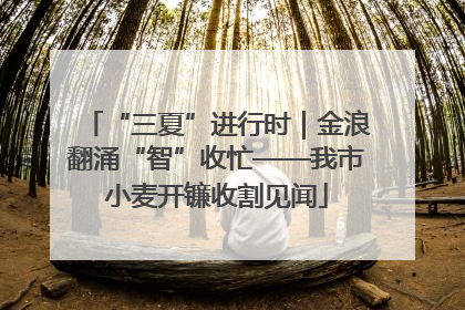 “三夏”进行时｜金浪翻涌“智”收忙——我市小麦开镰收割见闻
