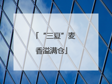 “三夏”麦香溢满仓