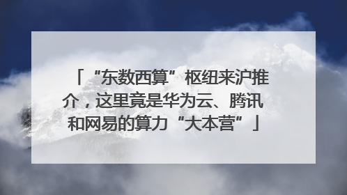 “东数西算”枢纽来沪推介，这里竟是华为云、腾讯和网易的算力“大本营”