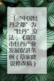 “中国牡丹之都”为“牡丹”立法，《菏泽市牡丹产业发展促进条例（草案建议修改稿）》公开征求意见