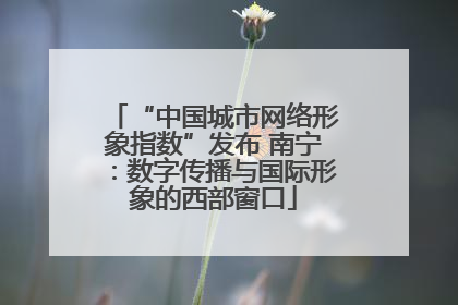 “中国城市网络形象指数”发布 南宁：数字传播与国际形象的西部窗口