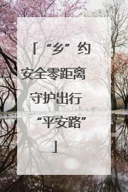 “乡”约安全零距离 守护出行“平安路”