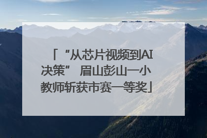 “从芯片视频到AI决策” 眉山彭山一小教师斩获市赛一等奖