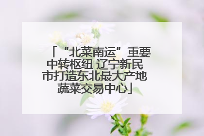 “北菜南运”重要中转枢纽 辽宁新民市打造东北最大产地蔬菜交易中心