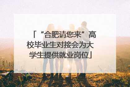 “合肥请您来”高校毕业生对接会为大学生提供就业岗位