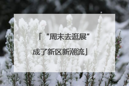 “周末去逛展”成了新区新潮流