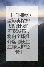 “国际小型鲸类保护研究计划”在汉发布，将向全球推介落地长江江豚保护经验