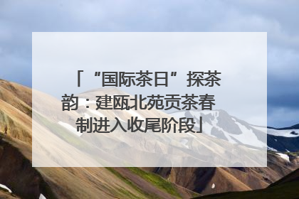 “国际茶日”探茶韵：建瓯北苑贡茶春制进入收尾阶段