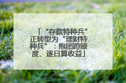 “存款特种兵”正转型为“理财特种兵”：抱团蹲额度、逐日算收益