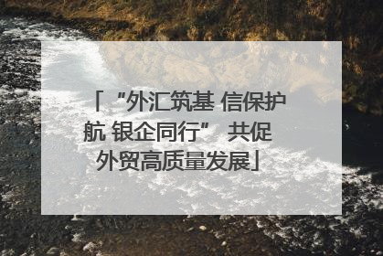 “外汇筑基 信保护航 银企同行” 共促外贸高质量发展