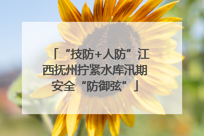 “技防+人防”江西抚州拧紧水库汛期安全“防御弦”