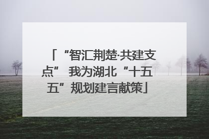 “智汇荆楚·共建支点” 我为湖北“十五五”规划建言献策