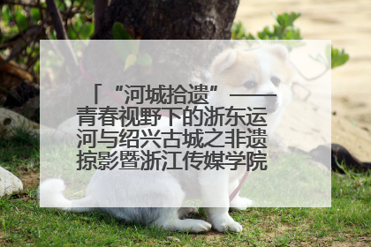 “河城拾遗”——青春视野下的浙东运河与绍兴古城之非遗掠影暨浙江传媒学院小学期来绍