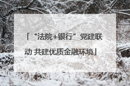 “法院+银行”党建联动 共建优质金融环境
