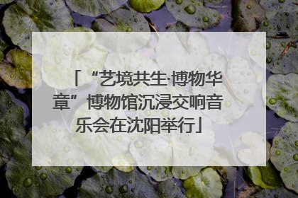 “艺境共生·博物华章”博物馆沉浸交响音乐会在沈阳举行