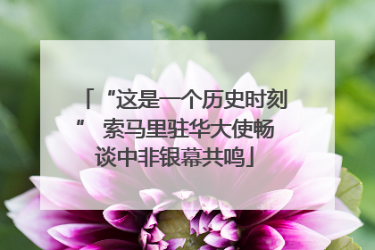 “这是一个历史时刻” 索马里驻华大使畅谈中非银幕共鸣