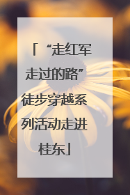 “走红军走过的路”徒步穿越系列活动走进桂东