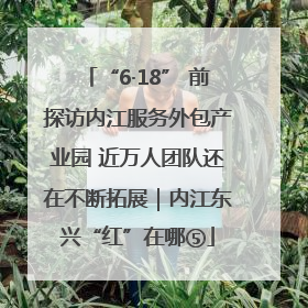 “6·18” 前探访内江服务外包产业园 近万人团队还在不断拓展｜内江东兴“红”在哪⑤