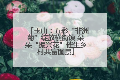 玉山：五彩“非洲菊”绽放横街镇 朵朵“振兴花”催生乡村共富图景