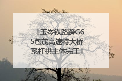 玉岑铁路跨G65包茂高速特大桥系杆拱主体完工