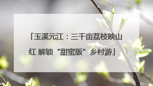 玉溪元江：三千亩荔枝映山红 解锁“甜蜜版”乡村游