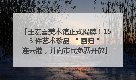 王宏喜美术馆正式揭牌！153 件艺术珍品 “ 回归 ” 连云港，并向市民免费开放