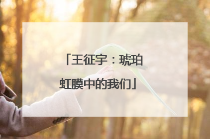 王征宇：琥珀虹膜中的我们