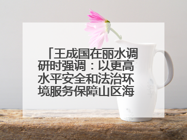 王成国在丽水调研时强调：以更高水平安全和法治环境服务保障山区海岛县高质量发展