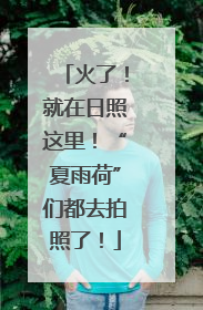 火了！就在日照这里！“夏雨荷”们都去拍照了！