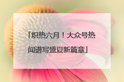 炽热六月！大众号热闻谱写盛夏新篇章
