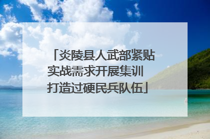 炎陵县人武部紧贴实战需求开展集训 打造过硬民兵队伍