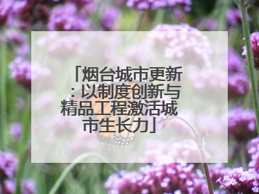 烟台城市更新：以制度创新与精品工程激活城市生长力