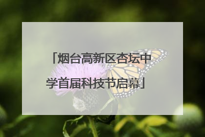 烟台高新区杏坛中学首届科技节启幕
