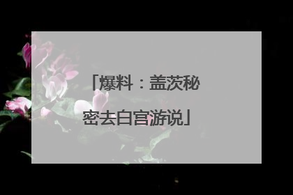 爆料：盖茨秘密去白宫游说