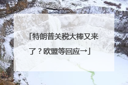 特朗普关税大棒又来了？欧盟等回应→