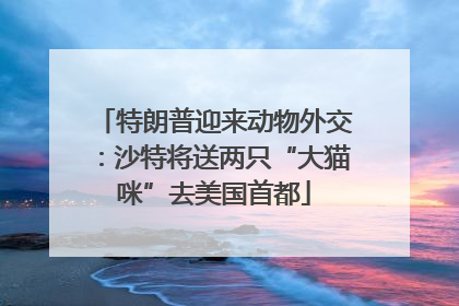 特朗普迎来动物外交：沙特将送两只“大猫咪”去美国首都
