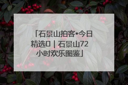 石景山拍客•今日精选⑲｜石景山72小时欢乐图鉴