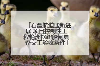 石澧航道迎新进展 项目控制性工程艳洲枢纽船闸具备交工验收条件