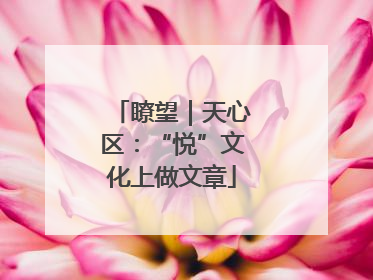 瞭望｜天心区：“悦”文化上做文章